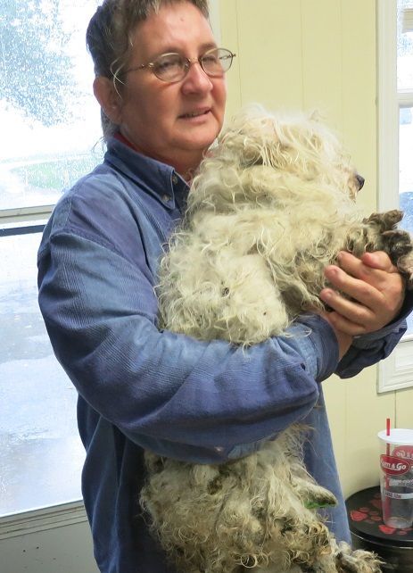 puppy_mill37.JPG